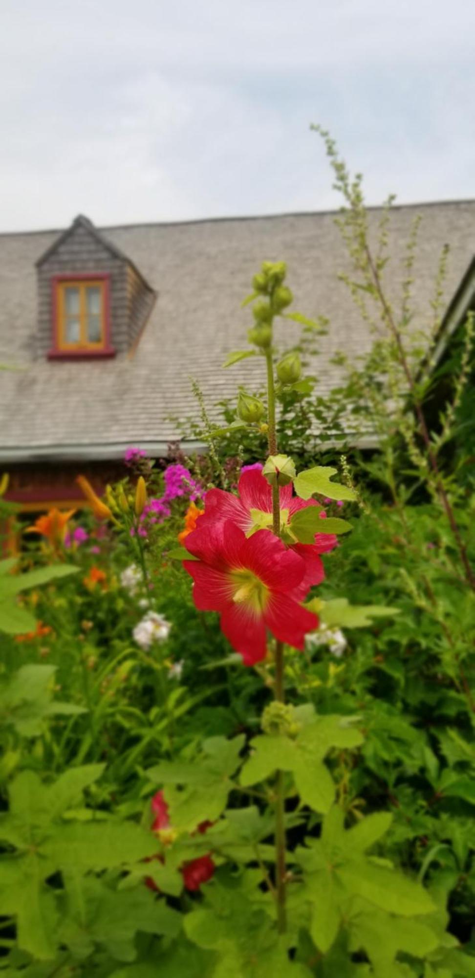 Auberge Le P'Tit Bonheur Saint-Laurent-de-l'ile d'Orleans Экстерьер фото